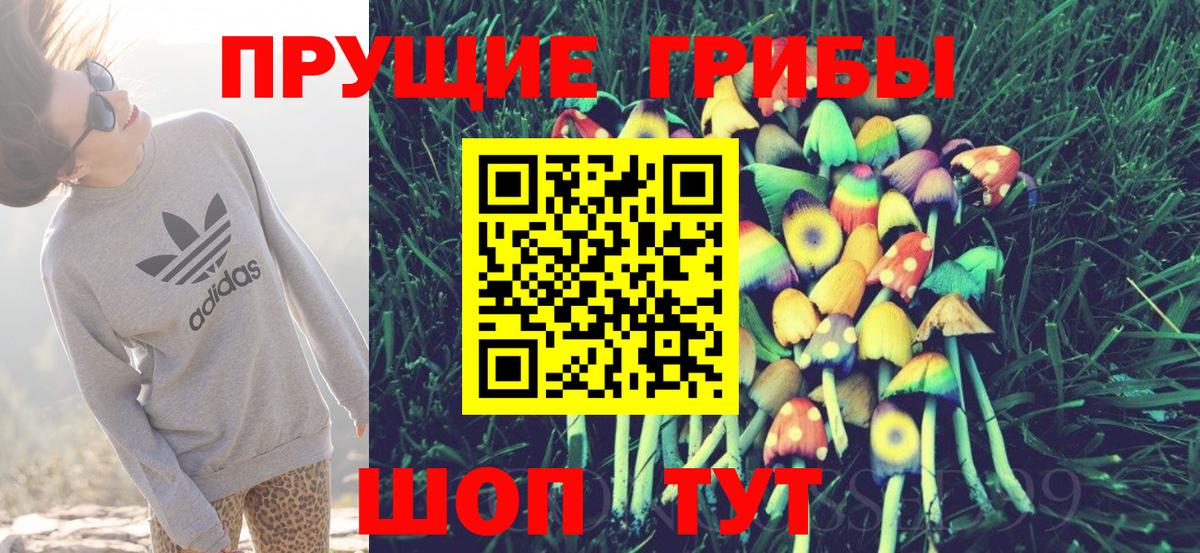 что такое   Галлюциногенные грибы Psilocybine cubensis  Вход с VPN  Галлюциногенные грибы Psilocybe  Верхний Уфалей 